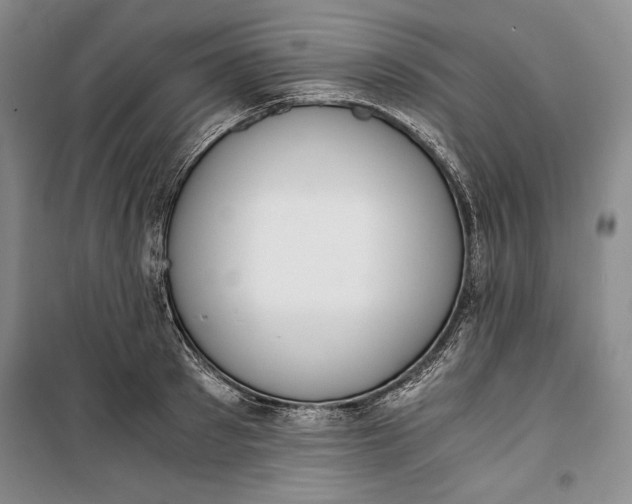 X0000100190897200806131205