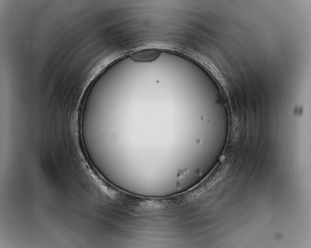 X0000100190898200806131205