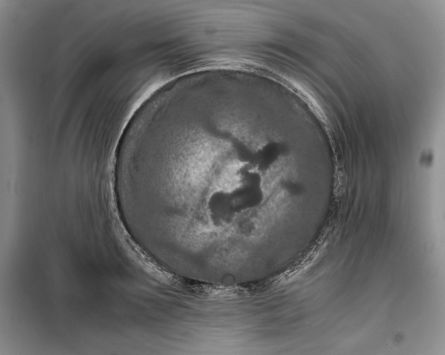 X0000100190899200806131205