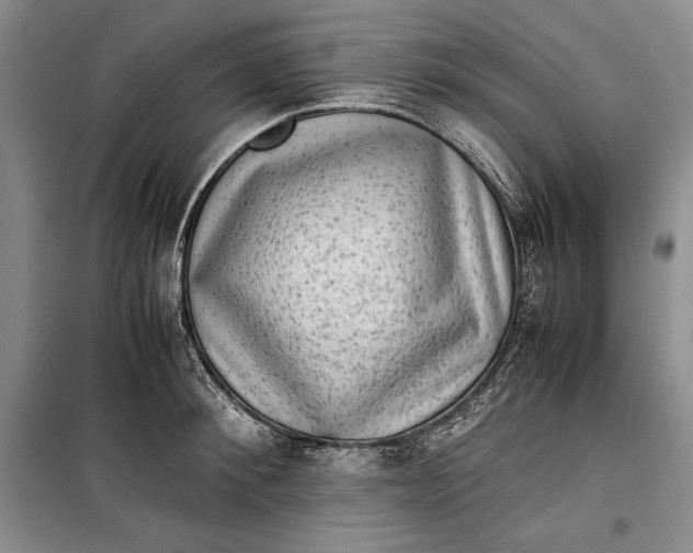 X0000100190900200806131205