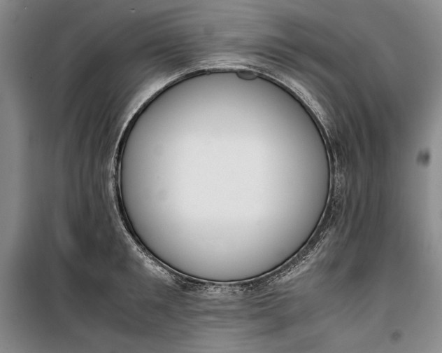 X0000100190901200806131205