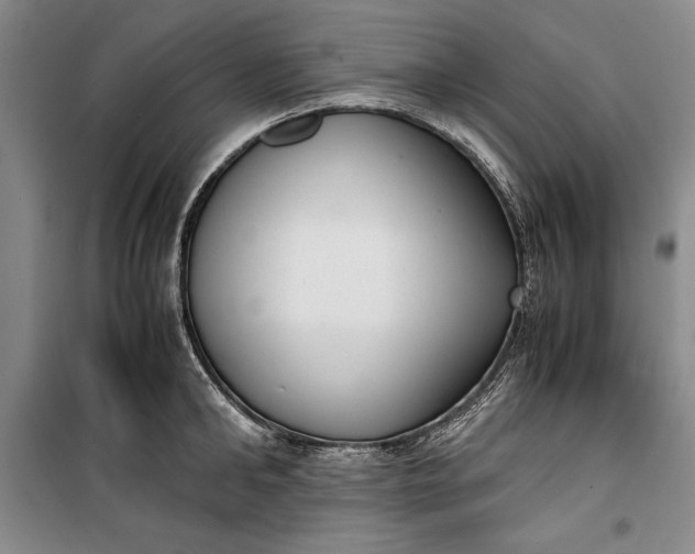 X0000100190902200806131205