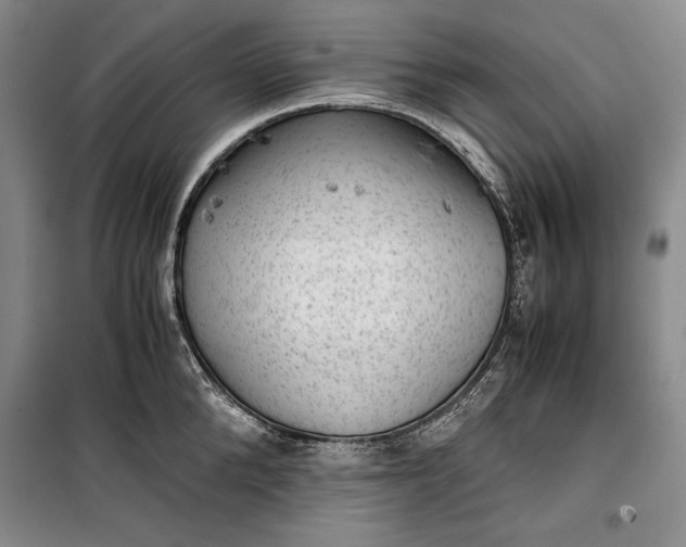 X0000100190904200806131205