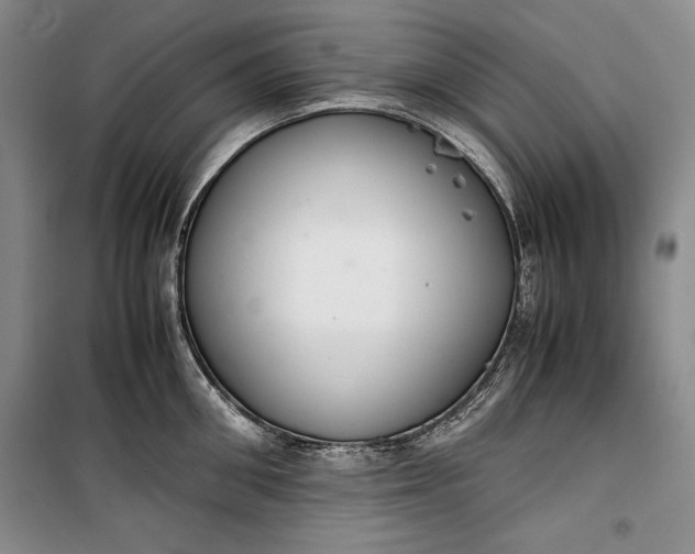 X0000100190906200806131205