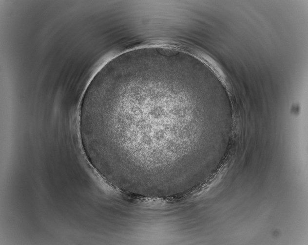 X0000100190907200806131205