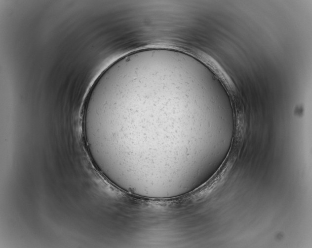 X0000100190908200806131205