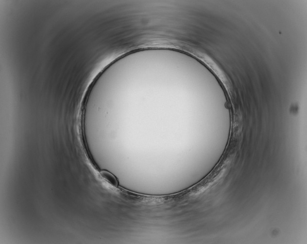 X0000100190909200806131205