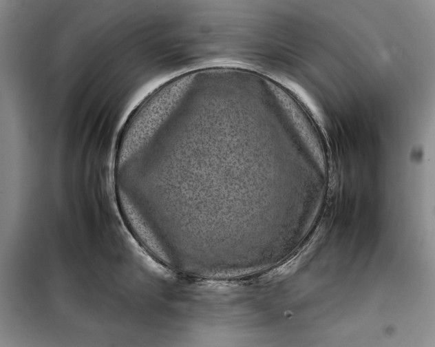 X0000100190910200806131205