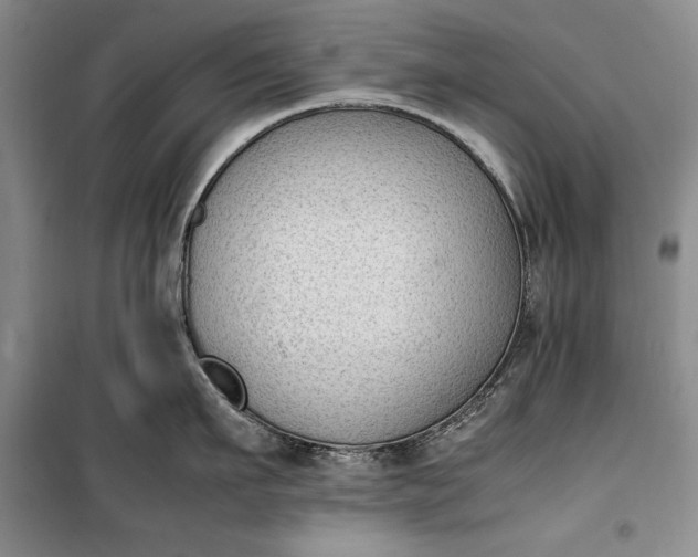 X0000100190911200806131205