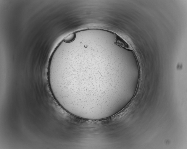 X0000100190912200806131205