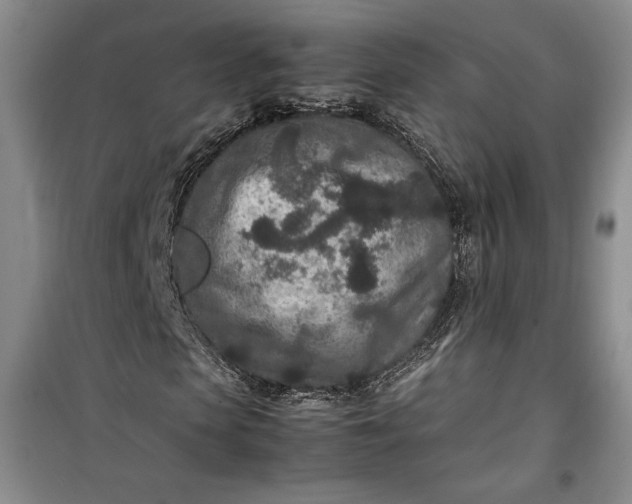 X0000100190913200806131204