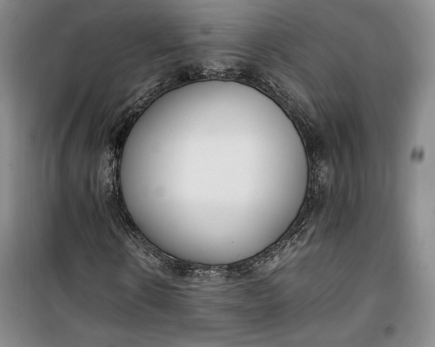 X0000100190914200806131204