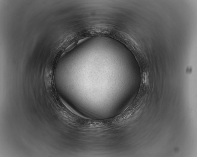 X0000100190915200806131204