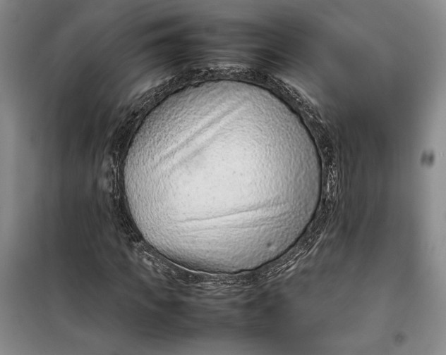 X0000100190917200806131204