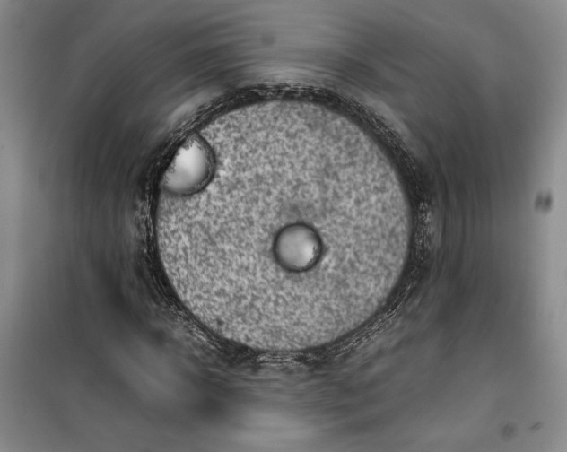 X0000100190918200806131204