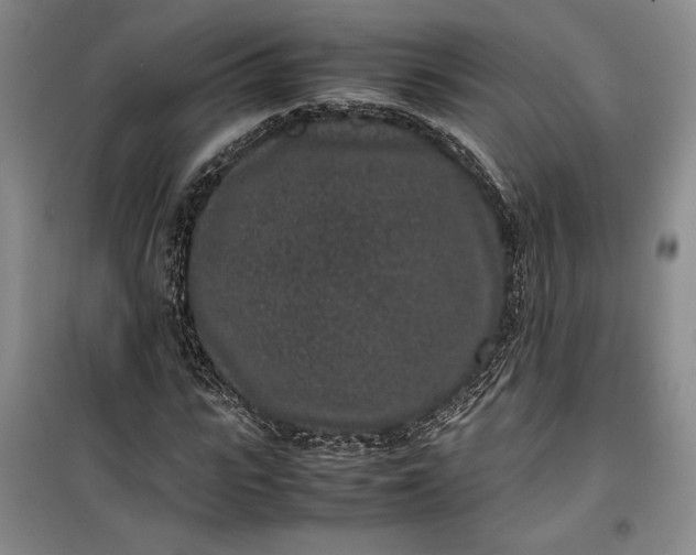 X0000100190919200806131204