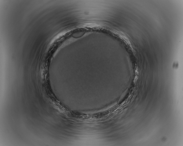 X0000100190920200806131204