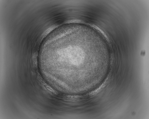 X0000100190921200806131204