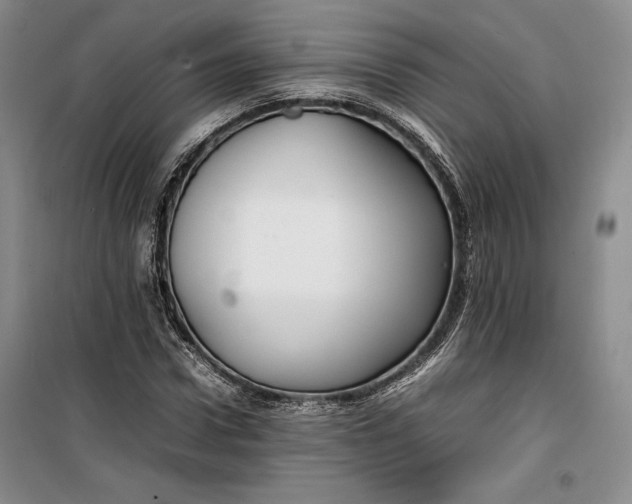 X0000100190922200806131204