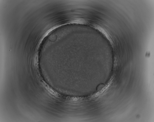 X0000100190923200806131204