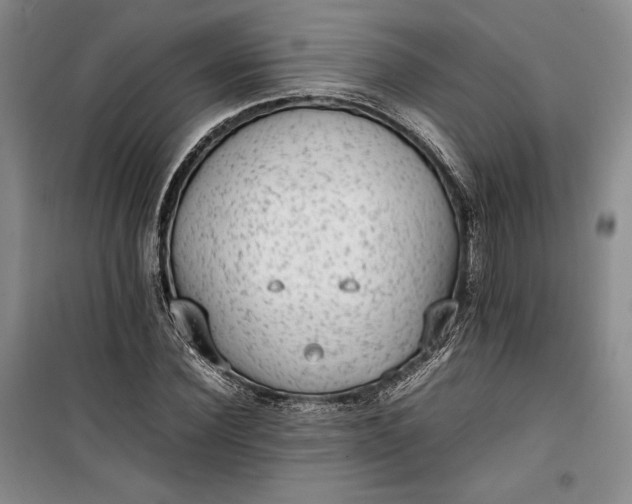 X0000100190924200806131204