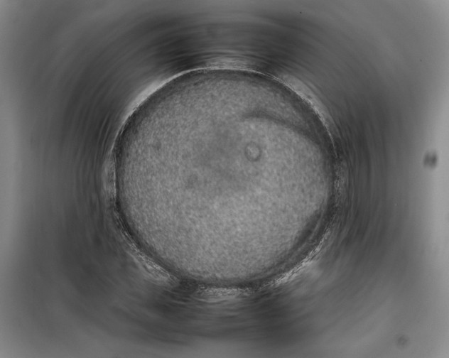 X0000100190925200806131204