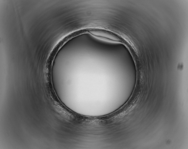 X0000100190926200806131204