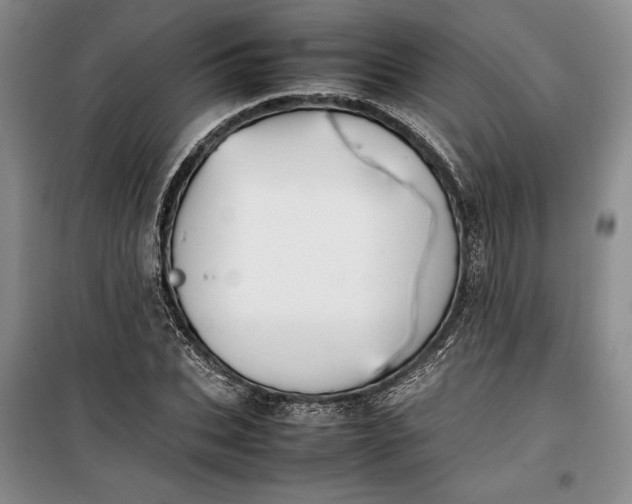 X0000100190927200806131204