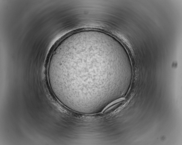 X0000100190928200806131204