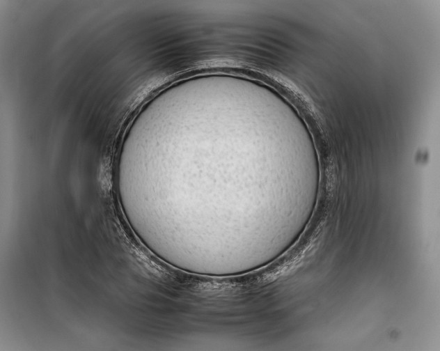 X0000100190929200806131204