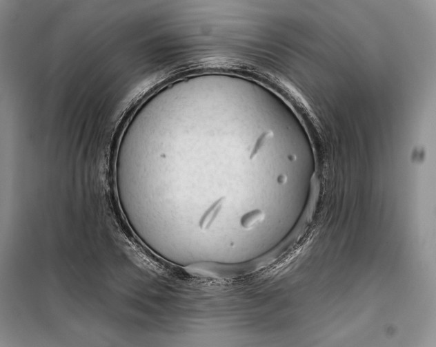 X0000100190930200806131204