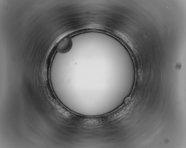 X0000100190931200806131204