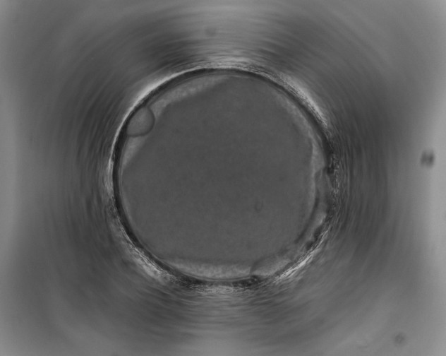 X0000100190932200806131204