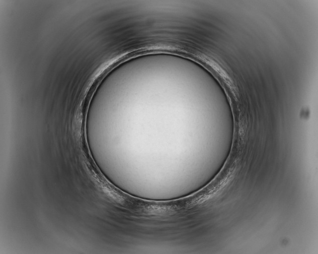 X0000100190933200806131204