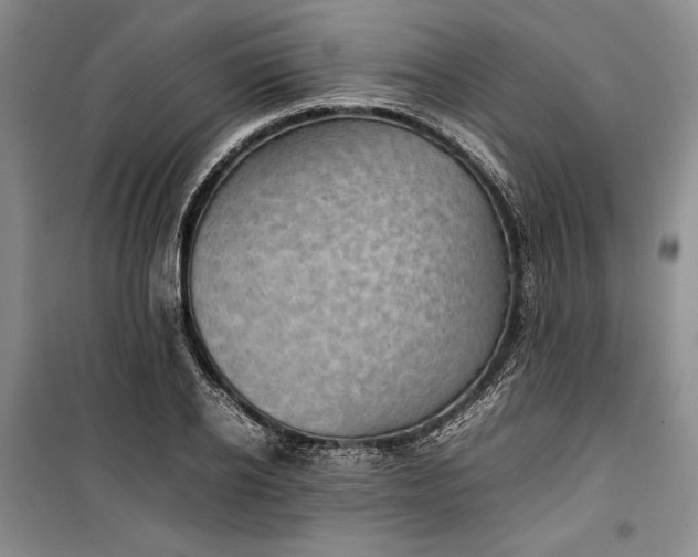 X0000100190934200806131204