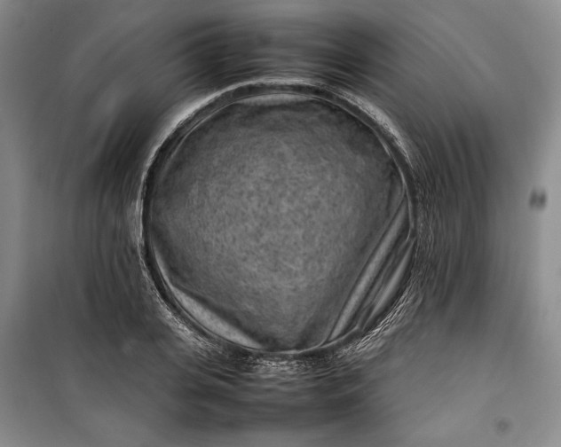 X0000100190935200806131204