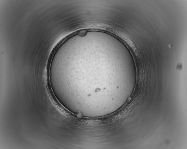 X0000100190936200806131204