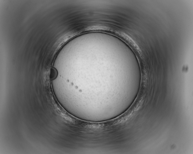 X0000100190937200806131204