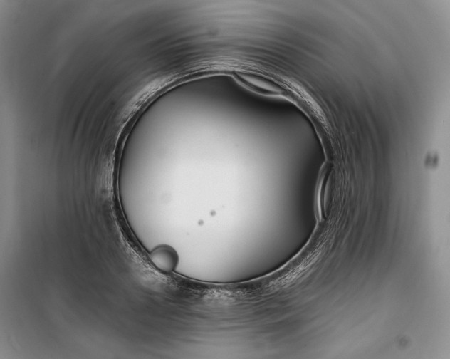 X0000100190938200806131204