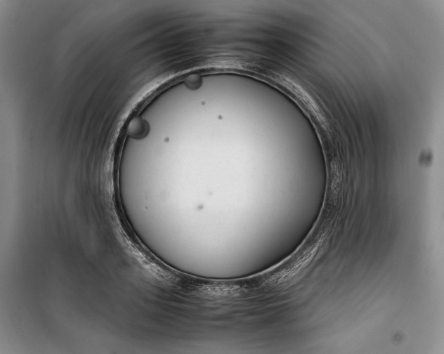 X0000100190939200806131204