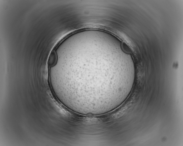 X0000100190940200806131204