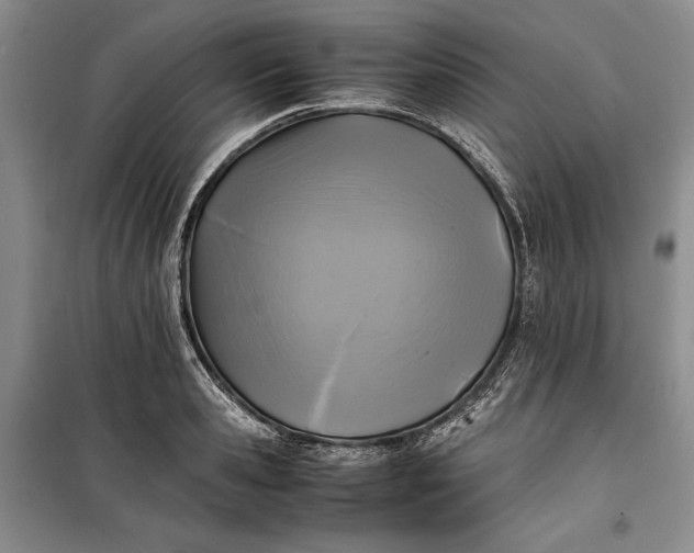 X0000100190941200806131204