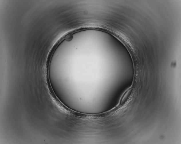 X0000100190942200806131204