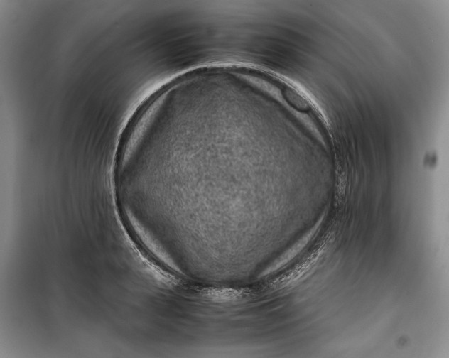 X0000100190943200806131204