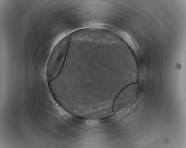 X0000100190944200806131204