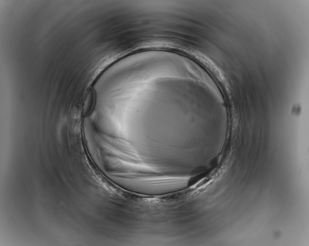 X0000100190945200806131204