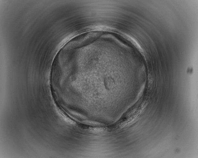 X0000100190946200806131204