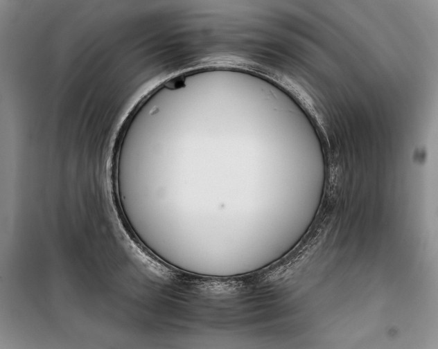 X0000100190947200806131204