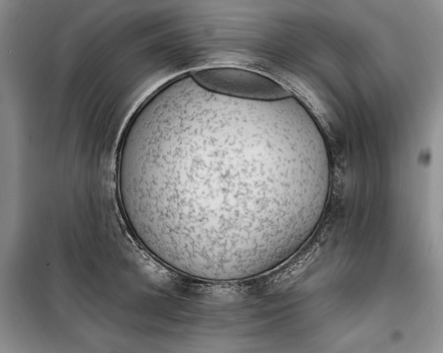 X0000100190948200806131204