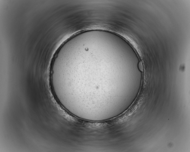 X0000100190949200806131204